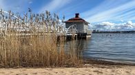 En sandstrand med vass i förgrunden och en liten byggnad vid vattnet under en blå himmel.