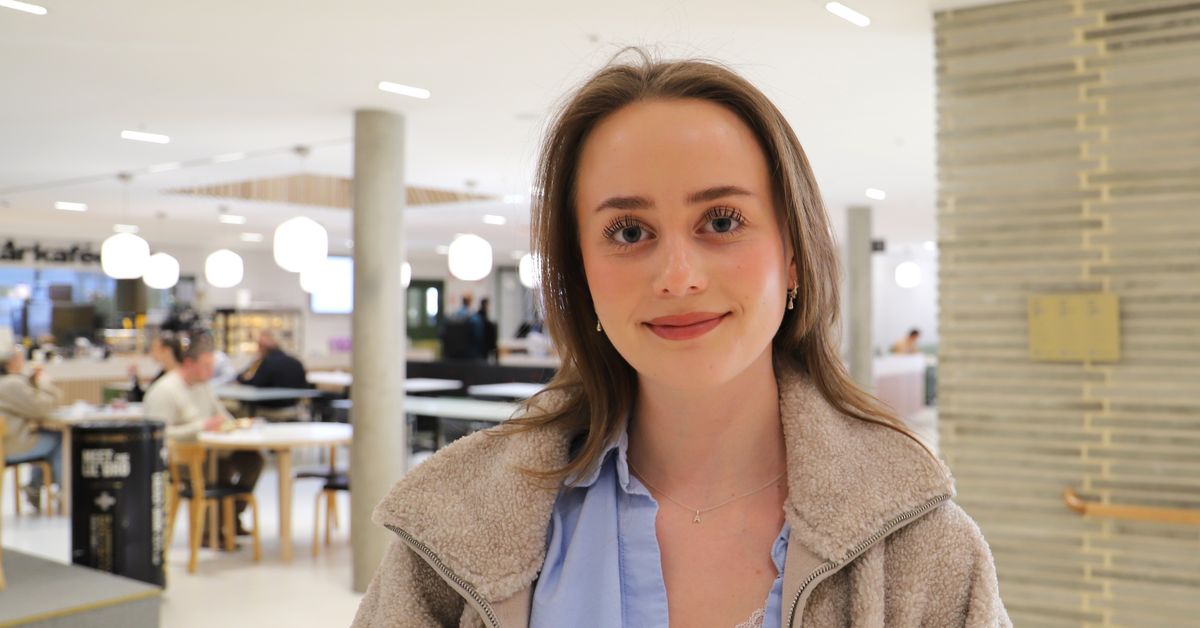 Studier på sommaren ett bra alternativ till sommarjobb