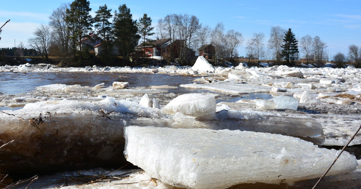 Pohjalaisjoet voivat tulvia tänä keväänä tavallista reippaammin, sillä ...