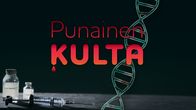 Teksti: Punainen kulta