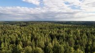 Skog fotograferad ovanifrån i Sibbo storskogs nationalpark.