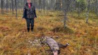 Kallioluoman paliskunnan poroisäntä Heikki Härmä suden tappaman poron vieressä Kuusamossa.
