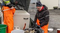 Leif Kaarto ser på fiskar som plaskar i en hink.
