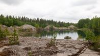 Louhos, jonka reunalla on suuria sorakasoja. Etualalla pieniä puita.
