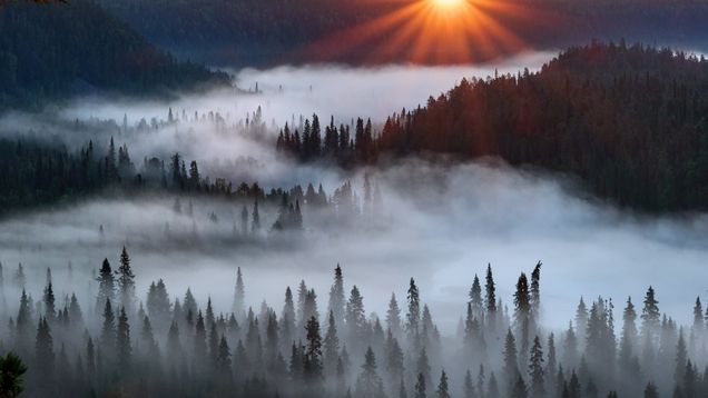 Aamuaurinko nousee metsäisen maiseman ylle, sumua leijuu puiden välissä.