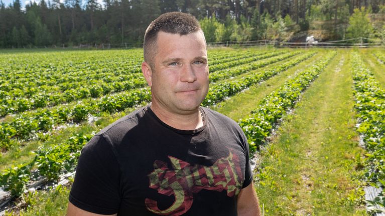 Jan Hollsten, en person som står på en jordgubbsodling med skog i bakgrunden, iförd en svart t-shirt med texten "Slayer"