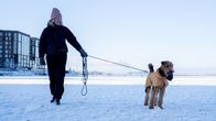 Nainen ja koira lumisella jäällä.