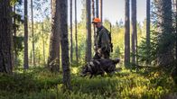 MATTI TÖRRÖNEN, Lieksän Erä, metsässä koiransa Moskun kanssa.