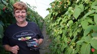 Arja Raatikainen on Annin marjatarha -yrityksen yrittäjä