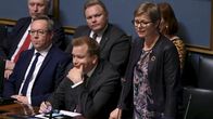 Ministeriaitio eduskunnan kyselytunnilla.