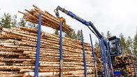 Puupinoa nostetaan tukkirekan kyydistä energiapuupinoon terminaalialueella.