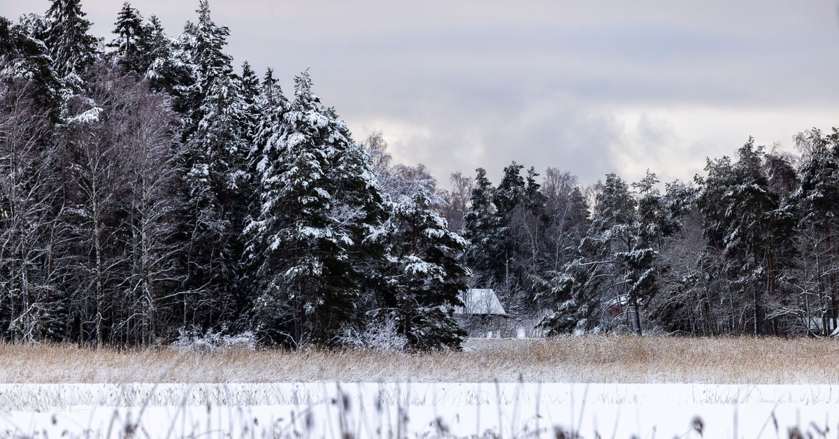 Finland to see spring 