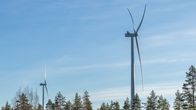 Tuulivoimaturbiineja metsässä.