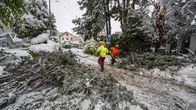 Myrskyn kaatamia puita Sveitsin Sierressä . 