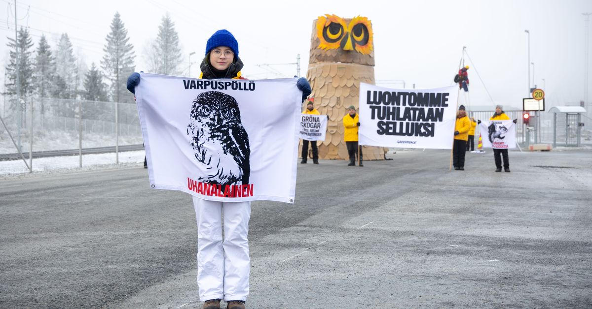 Police detain 29 climate activists following protest at Lapland pulp mill