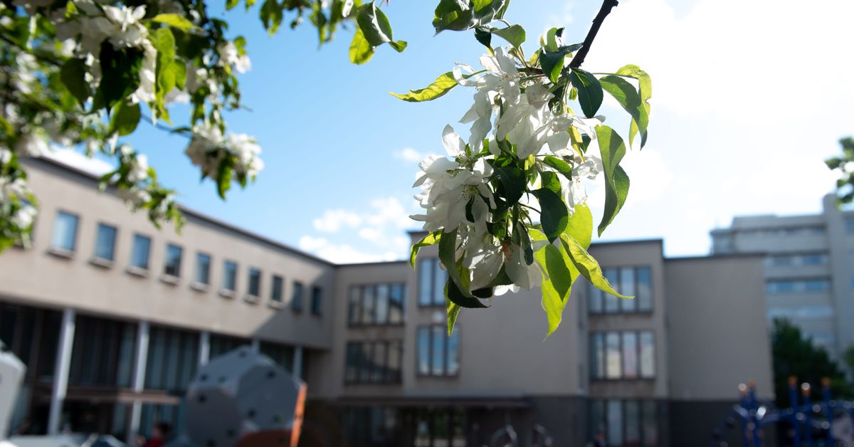 Equality Ombudsman Warns Espoo Over Repeated Student Discrimination in School Celebrations