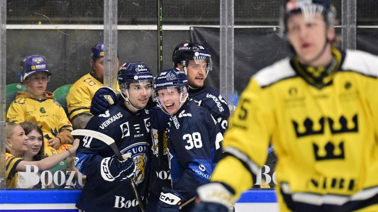 Leijonat juhlii maalia. 