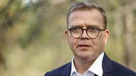 Statsminister Petteri Orpo (Saml) fotograferad utomhus med grönt bakom sig.