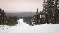 Luminen tie, ympärillä ja taustalla lumista metsää.