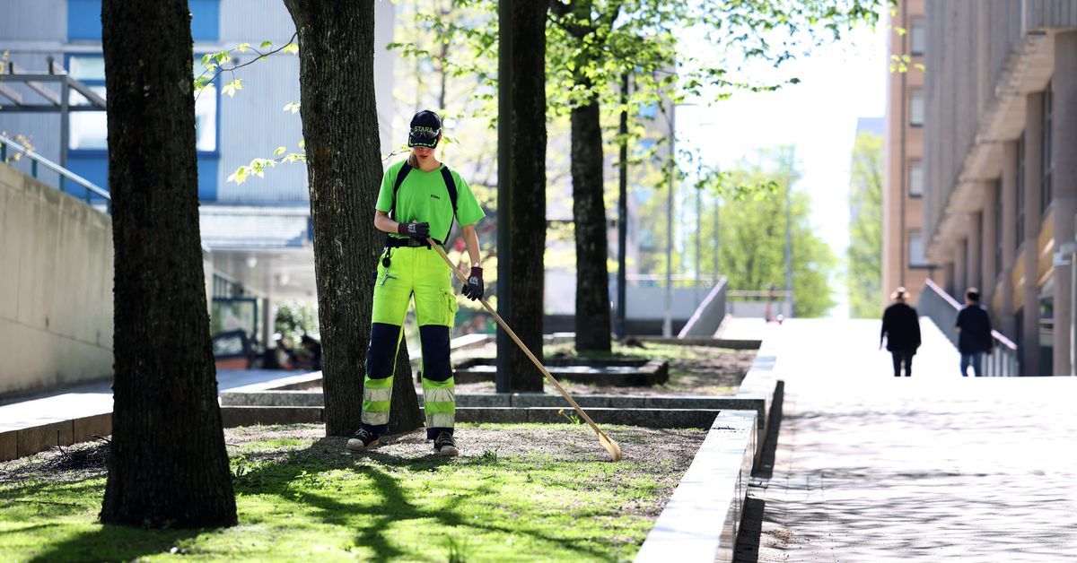oletko-v-synyt-kes-t-iden-takia-ker-simme-kokemuksia-kotimaa-yle