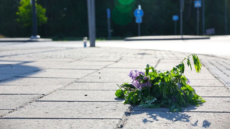 A bouquet of wildflowers on a sidewalk on a sunny day.
