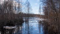 Näkymä Kiiminkijoelle kevättulvan aikana.