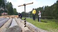 Tukkipora on kiinni tukissa. Taustalla toista tukkia sahataan moottorisahalla. Mies ja lapsi seuraavat vierestä.