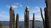 Tammisotilaat Kotkan Katariinan meripuistossa