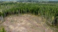 Avohakkuualue paistaa paljuuttaan, metsä reunustaa aluetta. 