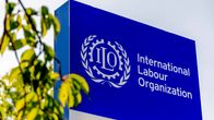 ininen opaste, jossa teksti ”International Labour Organization” ja ILO-logo; etualalla oksia ja lehtiä.
