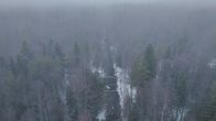 Rehevän metsän keskellä virtaa kaivettu oja. Kuva otettu 10.12.2025.