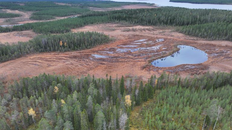 Metsää, suota ja suolla suolampi ilmasta kuvattuna.