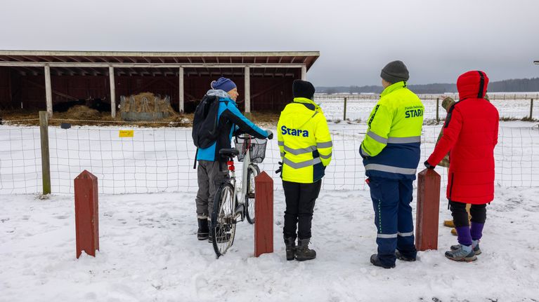 Lumisena talvipäivänä ulkona lehmäaitauksen vieressä seisoo viisi ihmistä, joilla kahdella on Staran työtakit päällä.
