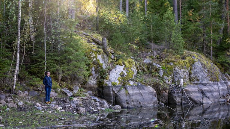 piia-vuorela-on-johtanut-suomen-heikoimmin-p-rj-v-hyvinvointialuetta