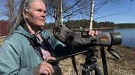 Lintuharrastaja Elina Enho tarkkailee Murtosen järven lintuja kaukoputken kanssa Juvalla.