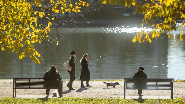 Kaksi henkilöä istuu puiston penkeillä ja kaksi henkilöä kävelee koiran kanssa vesistön rannalla aurinkoisena päivänä.