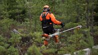 Metsuri harventaa metsää raivaussahalla.
