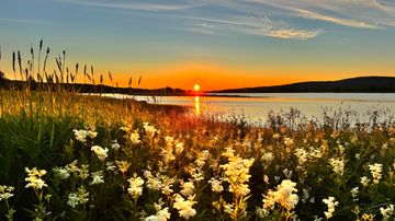 Keskiyön aurinko Rovaniemellä. 