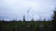 Useat tuulivoimalat kohoavat metsän takaa harmaata taivasta vasten.