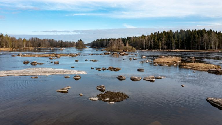Kymijoen Kullaankoski. Vesi on ennätysmatalalla.