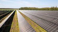 Aurinkopaneeleita aurinkopuistossa. Taustalla näkyy tuuliturbiineja. Solarigo Systems Oy:n aurinkopuisto Kalajoella Pohjois-Pohjanmaalla.