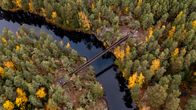 Ilmakuva Lapinsalmen ylittävästä sillasta.