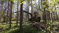 Metsäkone etenee puiden keskellä.