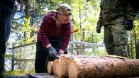 Nainen kyyristyneenä männyn runkojen äärellle. Irja Jefremoff opettaa pettukurssia Keväjärvellä. 