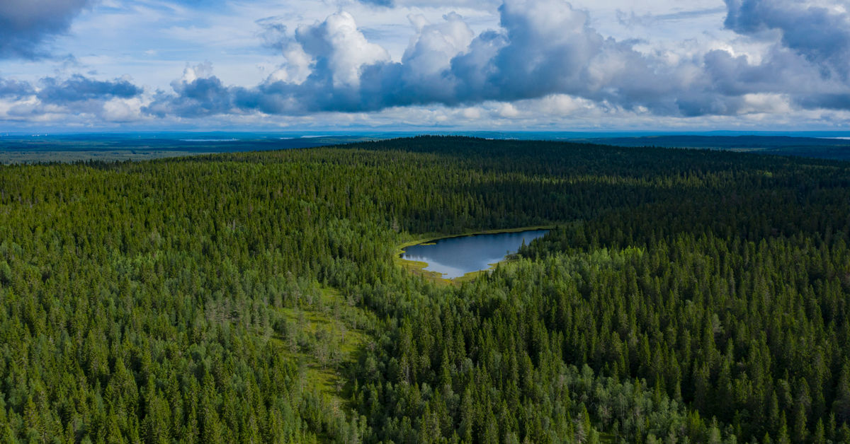 yle.fi