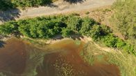 En sjöstrand fotad uppifrån med en grusväg parallellt med strandkanten där grönbrungrumligt vatten av cyanobakterier möter grönska och träd.