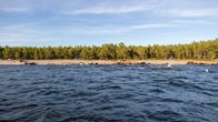 A sandy shore and green trees in the distance, water in the foreground.