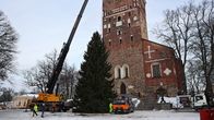 Ihmisiä seuraamassa joulukuusen pystytyshommia Turun tuomiokirkon edustalla.