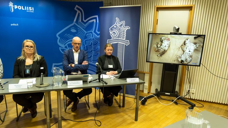 Lapinlahden salametsästysrikoksen tiedotustilaisuus Kuopiossa 05.03.2024.