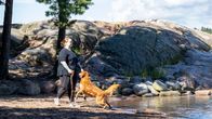 Aikuinen henkilö kävelee hiekkarannalla koiran kanssa veden äärellä, taustalla kalliota ja puita.